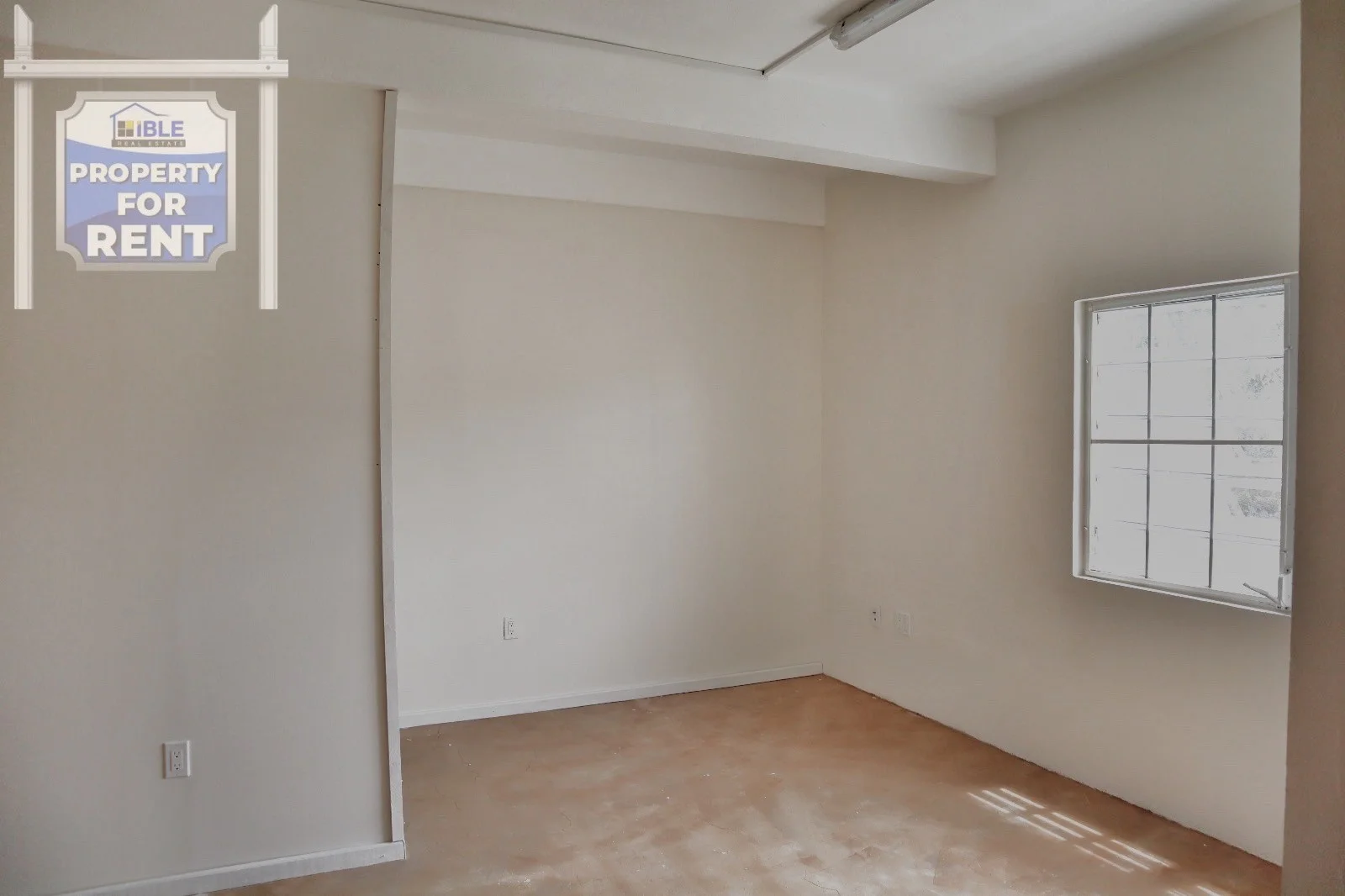 Office 8